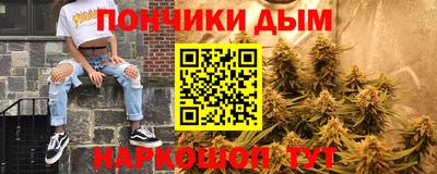 прущие грибы Краснознаменск