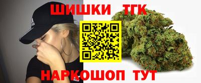 прущие грибы Краснознаменск