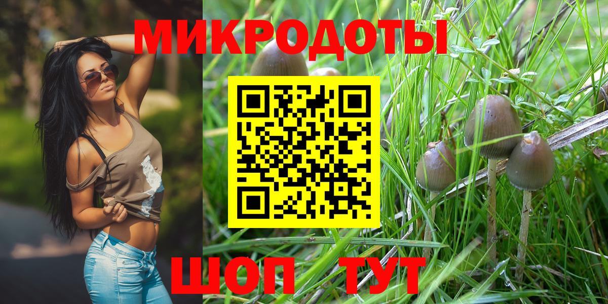 Галлюциногенные грибы мицелий Сертолово