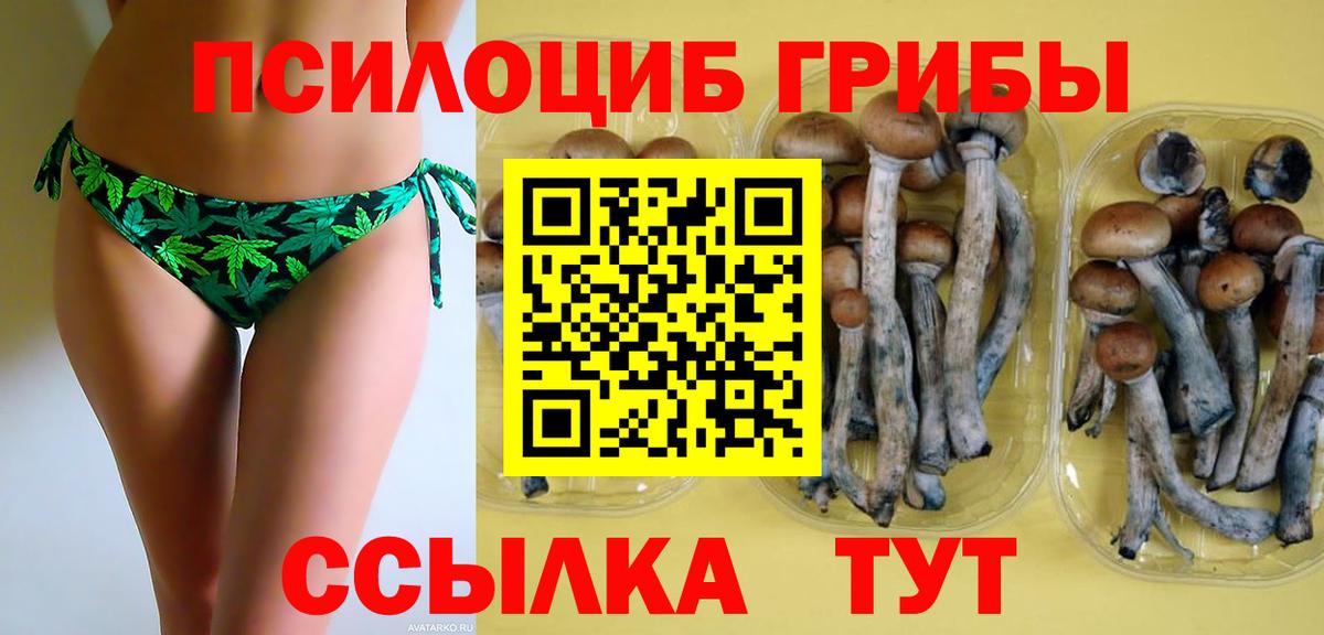 Сертолово  Псилоцибиновые грибы MAGIC MUSHROOMS  Вход с VPN 