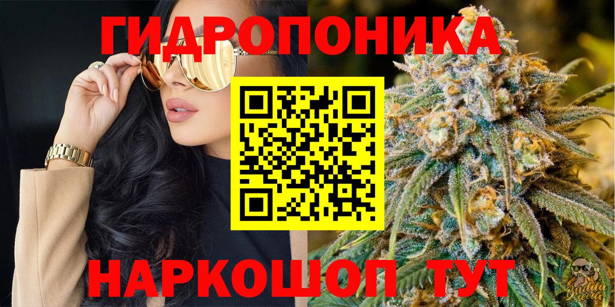 Конопля план Сертолово